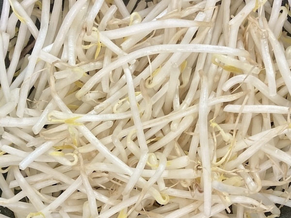 もやしのゆで時間、理想は？　セブンプレミアムの情報に「初耳でした」「試してみる」