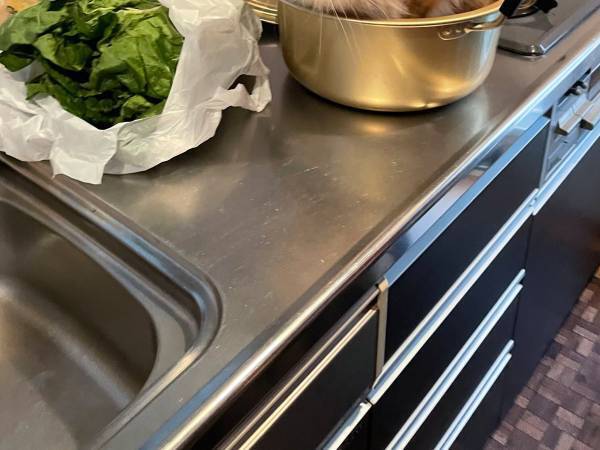 妻の「夕飯は鍋にしよっ」に夫がドキッとしたワケ　写真に「に、逃げてっ～！」