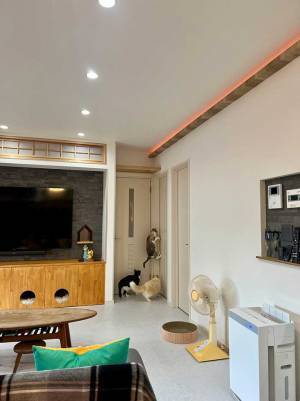 「中身人間やろ」　ドア前に集まる猫、次の瞬間？「爆笑した」「どうなっているの」