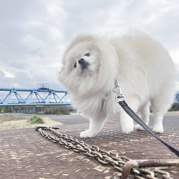 小５息子が撮った１枚　写った光景に「完全に一致」「天才じゃん」