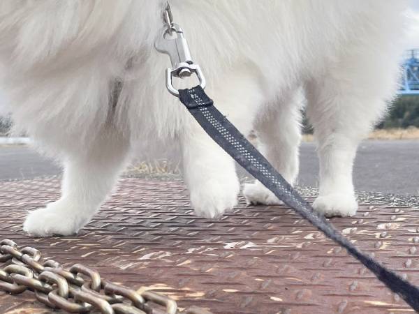 小５息子が撮った１枚　写った光景に「完全に一致」「天才じゃん」