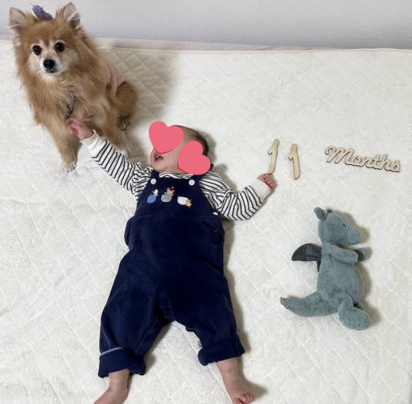 赤ちゃんの『記念写真』にポメが乱入　結果に「笑った」「最高」