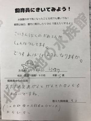 『カメ』について質問された水族館　館長の回答に、ネットがザワッ！