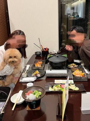 ３歳になった愛犬、家族で誕生日旅行に行くと？　主役の表情に「笑った」