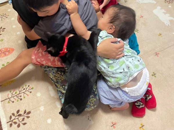 「いつか見返した時に、泣いちゃう」　４兄弟を撮った１枚に「今見ても号泣」