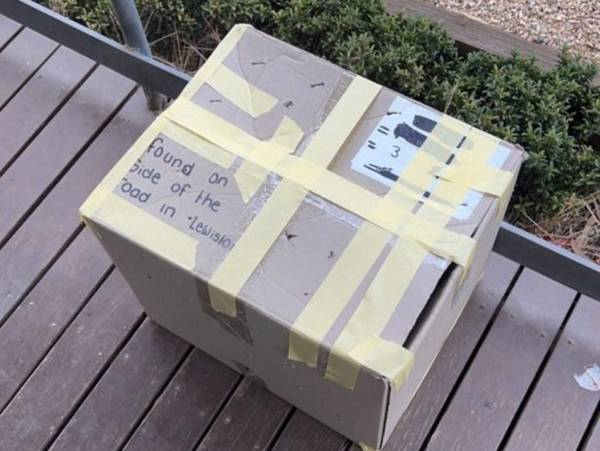 「道路脇で見つけました」　真夏に動物病院の前に放置された箱の中身は…