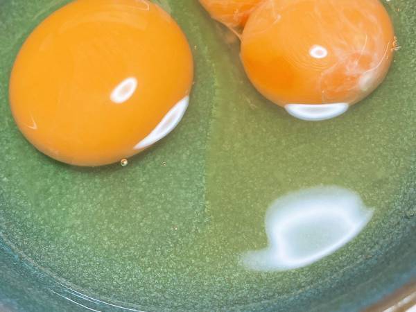 「なんでイレギュラーが起きんねん」　割れた卵に「ワロタ」「ナイス」