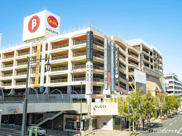 『サイゼ』の食器棚を見ると…「それにしか見えん」「完全に一致」