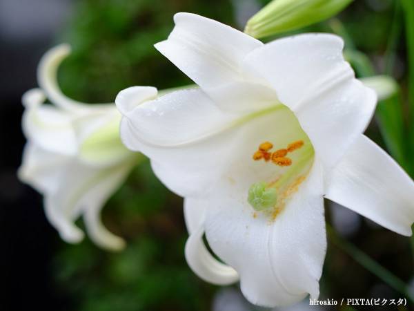 『さわやか』創業者・富田重之さんが逝去　１４日に全店臨時休業