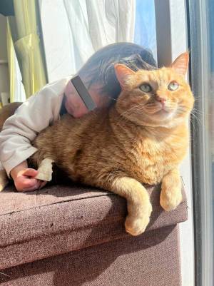 背中で寝てしまった幼児に猫は？　「なんて優しい」「まんざらでもない顔」