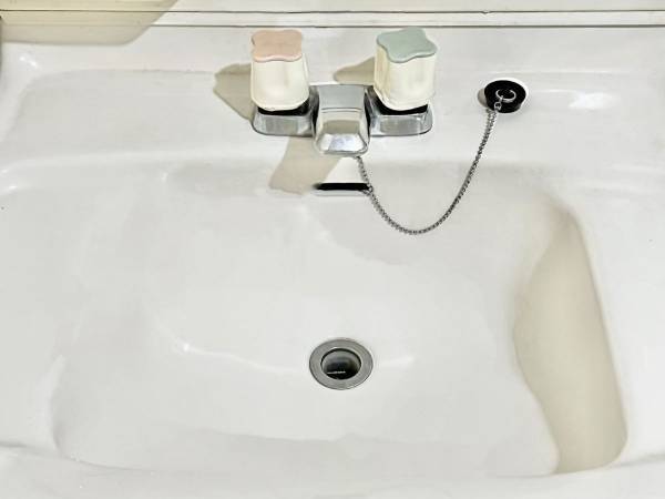 排水口掃除に使うのはストロー１本　まさかの発想に「ごっそり」「便利だわ」