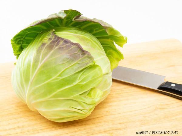 今が旬の春キャベツ　まさかの使い方に「これはマネしたい」「週末やってみよう」