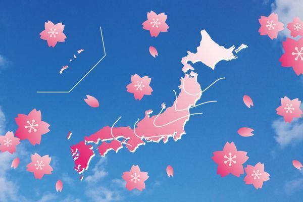 疑問「桜の開花日って何部咲きの状態？」　気象庁に尋ねてみると意外な回答が