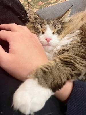 飼い主「甘えん坊すぎる」　心配になって取った行動が…？