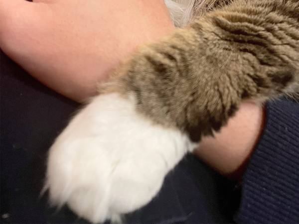 飼い主「甘えん坊すぎる」　心配になって取った行動が…？