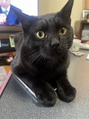 父「スマホがない！」　見つかった場所に「賢くてワロタ」