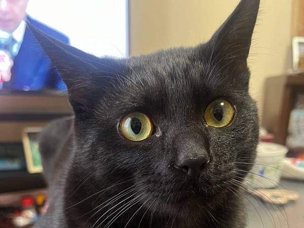 父「スマホがない！」　見つかった場所に「賢くてワロタ」