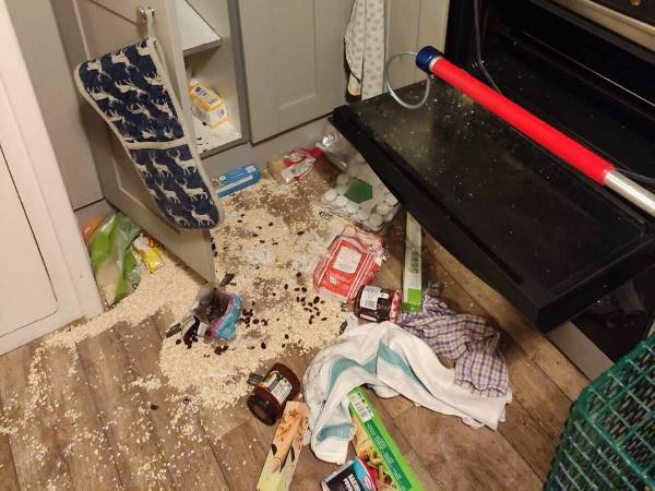 帰宅したら家の中がめちゃくちゃ　ベッドの下に隠れていた『犯人』に背筋が凍る