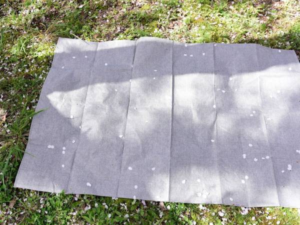 花見の席取り代行サービスがあるって知ってた？　「これは助かる」「使ってみたい」