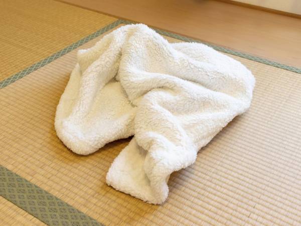 タオルケットとガーゼケット、違いは何？　企業の解説に「そうだったのか！」