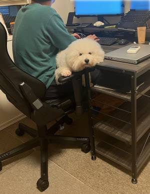 飼い主の隣を離れない犬が…？　「既視感」「ベスポジ！」