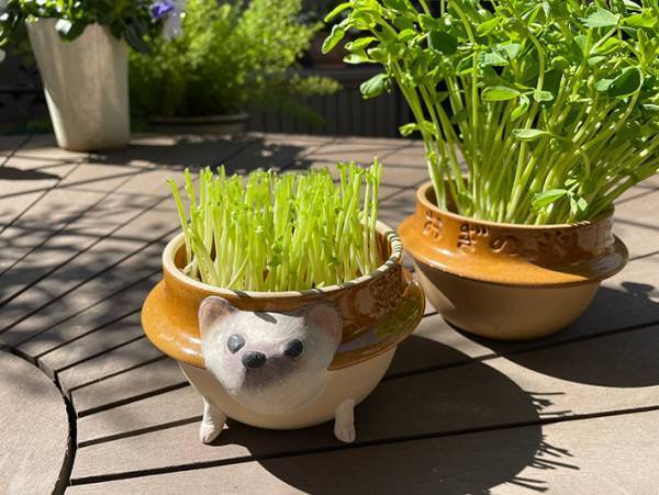 『峠の釜めし』の釜、どう使ってる？　驚きの活用術に「こんな使い方が！」