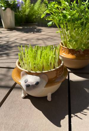 『峠の釜めし』の釜、どう使ってる？　驚きの活用術に「こんな使い方が！」