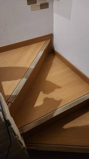 愛猫がヒソヒソ話してる…？　帰宅後に見た怪しい影！