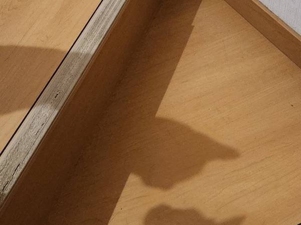 愛猫がヒソヒソ話してる…？　帰宅後に見た怪しい影！