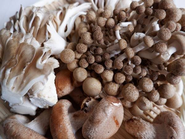 マツタケの代わりといえばやっぱりアレ　企業が勧める代用案に「なるほど！」