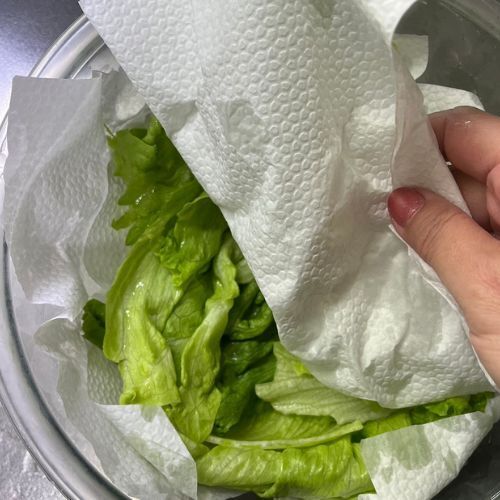 変色防止にも！　レタスを長持ちさせる『５０℃洗い』が必見な理由