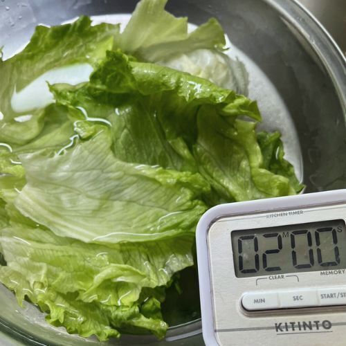 変色防止にも！　レタスを長持ちさせる『５０℃洗い』が必見な理由