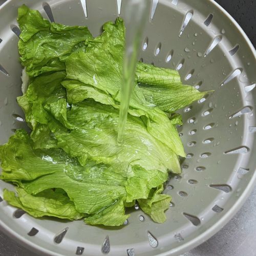 変色防止にも！　レタスを長持ちさせる『５０℃洗い』が必見な理由