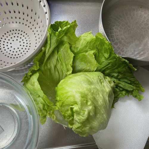 変色防止にも！　レタスを長持ちさせる『５０℃洗い』が必見な理由