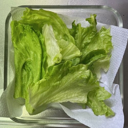 変色防止にも！　レタスを長持ちさせる『５０℃洗い』が必見な理由