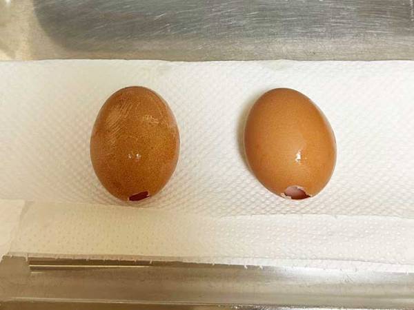 イースターエッグの作り方、知ってる？　企業が紹介する卵の中身を抜く方法