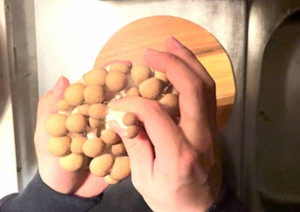 台所が汚れる石づきの処理　包丁不要の裏技に「全然散らばらない」