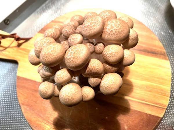 台所が汚れる石づきの処理　包丁不要の裏技に「全然散らばらない」