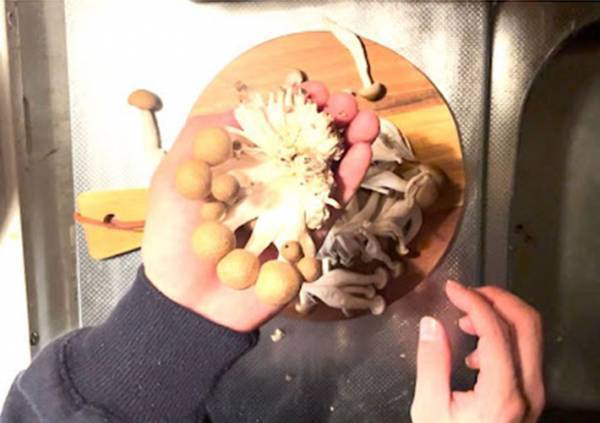 台所が汚れる石づきの処理　包丁不要の裏技に「全然散らばらない」