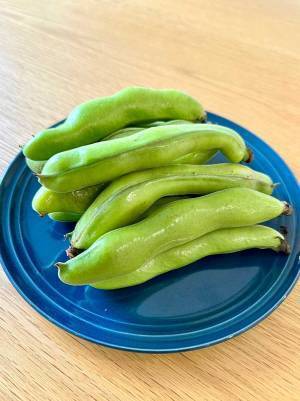 そら豆の調理は面倒？　全農がすすめる『焼きそら豆』に「その手があった」「おいしそう」