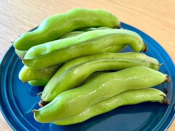 そら豆の調理は面倒？　全農がすすめる『焼きそら豆』に「その手があった」「おいしそう」