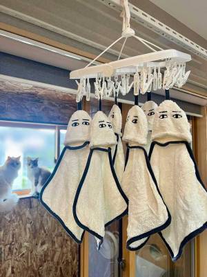 部屋干しされた『タオル』が「ちょっと怖い」理由　「すぐ１００均に行こう」