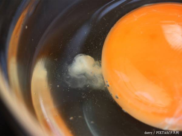 卵の白い物体は「取らずに食べて！」　養鶏場がそう呼びかけた理由が？