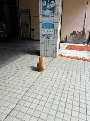 駅前に貼られた『地球一周の船旅』の案内　真剣に見ていたのは、まさかの？