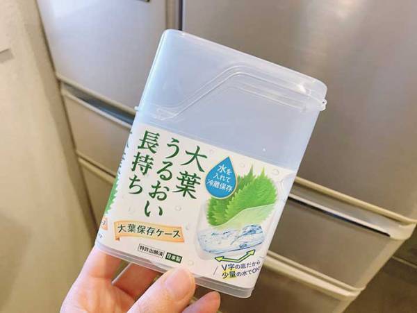 新鮮なまま長持ち　ダイソーの『大葉保存ケース』に「こんなの欲しかった」「優秀」