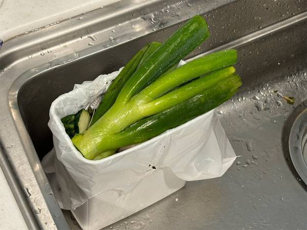 今からできる！　生ゴミを捨てる前に心がけたいこと