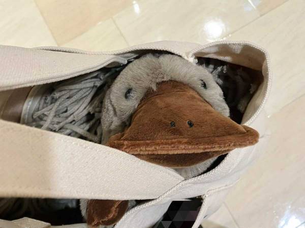 日用品を買うつもりが「あれ？」　想定外の行動に「仕方ない」「むしろ大正解」