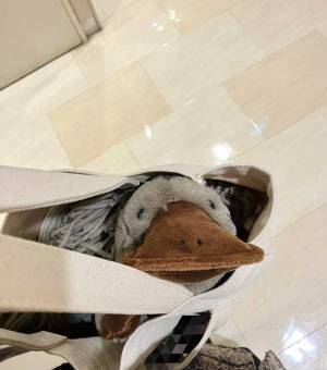 日用品を買うつもりが「あれ？」　想定外の行動に「仕方ない」「むしろ大正解」