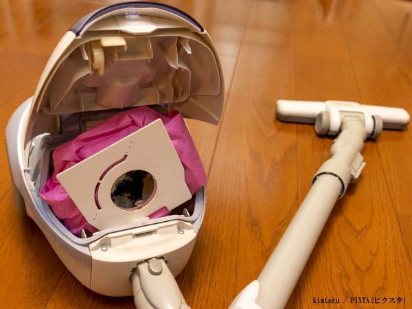 ゴキブリを掃除機で吸ってもいい？　企業の回答に「やってたわ…」