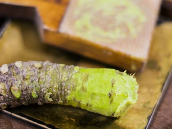 お刺身にはなぜワサビ？　意外と知らない理由に「初耳でした」